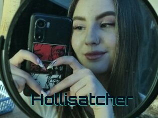 Hollisatcher