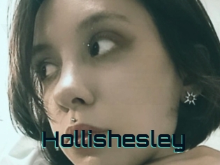 Hollishesley