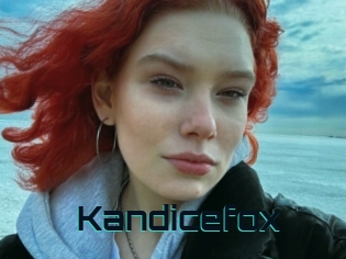 Kandicefox