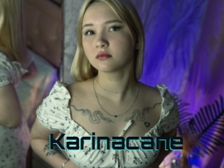 Karinacane