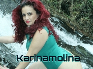 Karinamolina