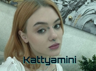 Kattyamini