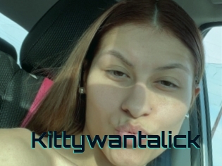 Kittywantalick