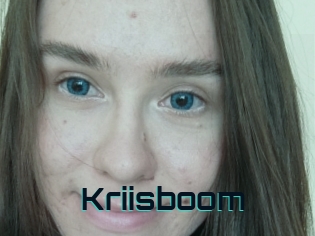 Kriisboom