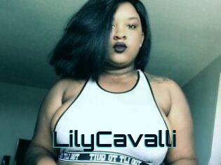 Lily_Cavalli