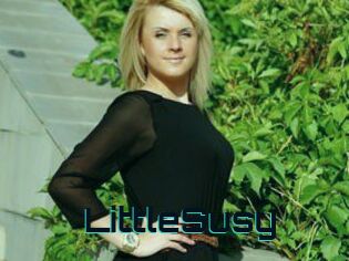LittleSusy