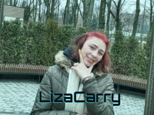 LizaCarry