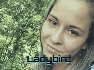 Ladybird