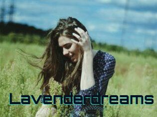 Lavenderdreams
