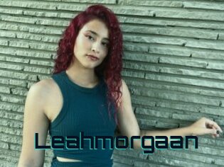 Leahmorgaan