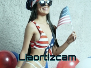 Liaortizcam