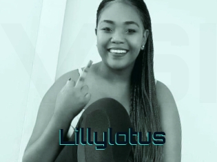 Lillylotus