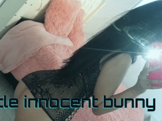 Little_innocent_bunny