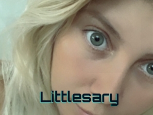 Littlesary