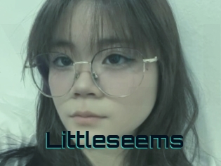 Littleseems