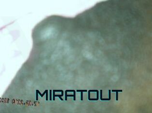 MIRATOUT