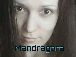Mandragora
