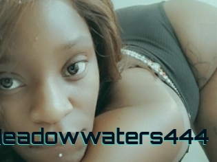 Meadowwaters444