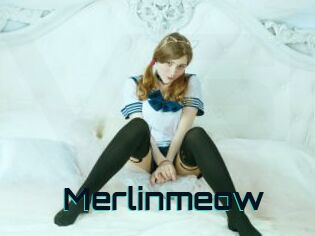 Merlinmeow