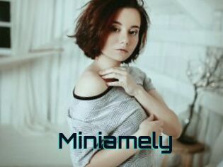 Miniamely