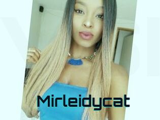 Mirleidycat
