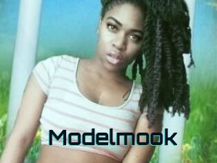 Modelmook