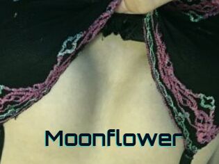 Moonflower