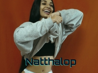 Natthalop