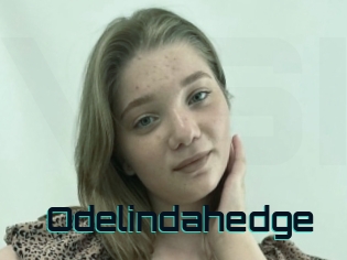 Odelindahedge