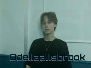 Odellaallsbrook