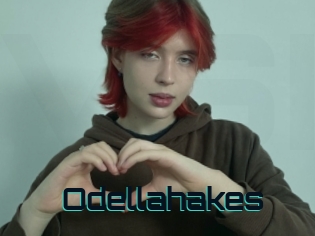 Odellahakes