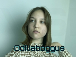 Odiliaboggus
