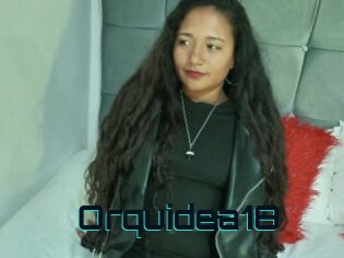 Orquidea18