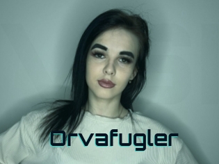 Orvafugler