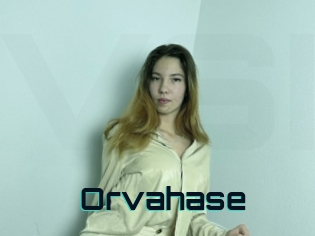 Orvahase