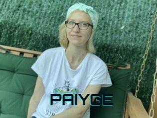 PAIYGE