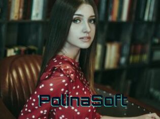 PolinaSoft