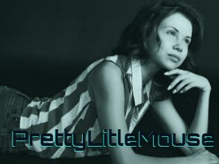 PrettyLitleMouse