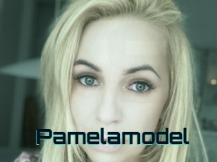 Pamelamodel