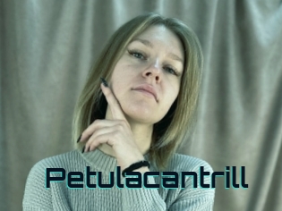 Petulacantrill