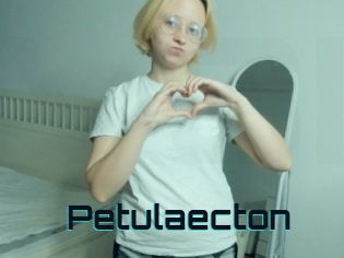 Petulaecton