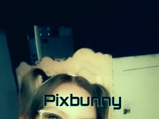 Pixbunny
