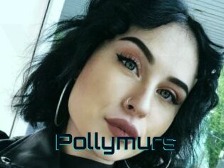 Pollymurs