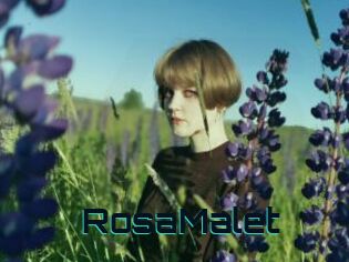 RosaMalet