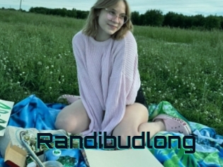 Randibudlong