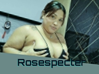 rosespecter Vidéos Stars Nues