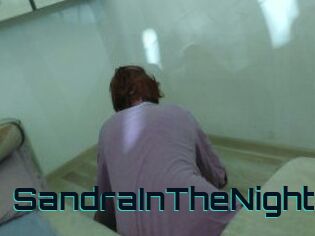 SandraInTheNight