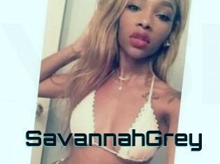 Savannah_Grey