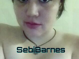 Sebi_Barnes