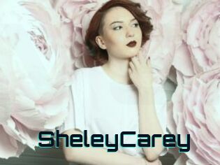 SheleyCarey